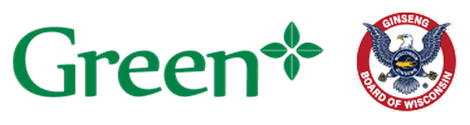NHÂN SÂM WISCONSIN HOA KỲ || AMERICAN WISCONSIN GINSENG